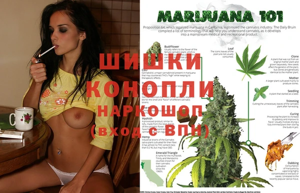 PSILOCYBIN Магас