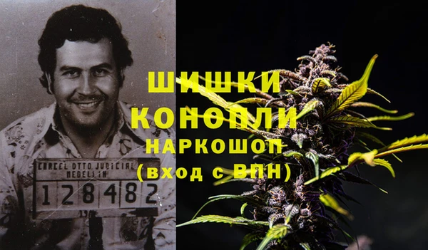 спиды Медногорск