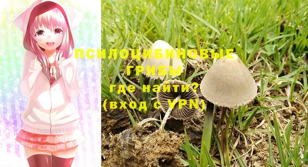MDMA Магадан
