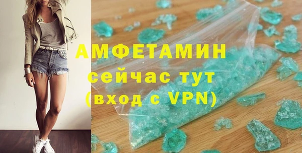 гидра Мегион