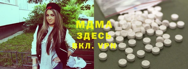 индика Алагир