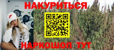 мдпв Гатчина