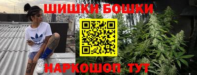 мдпв Гатчина