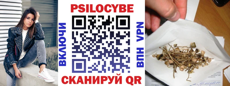 blacksprut ССЫЛКА  Камышлов  Псилоцибиновые грибы Magic Shrooms  как найти закладки 