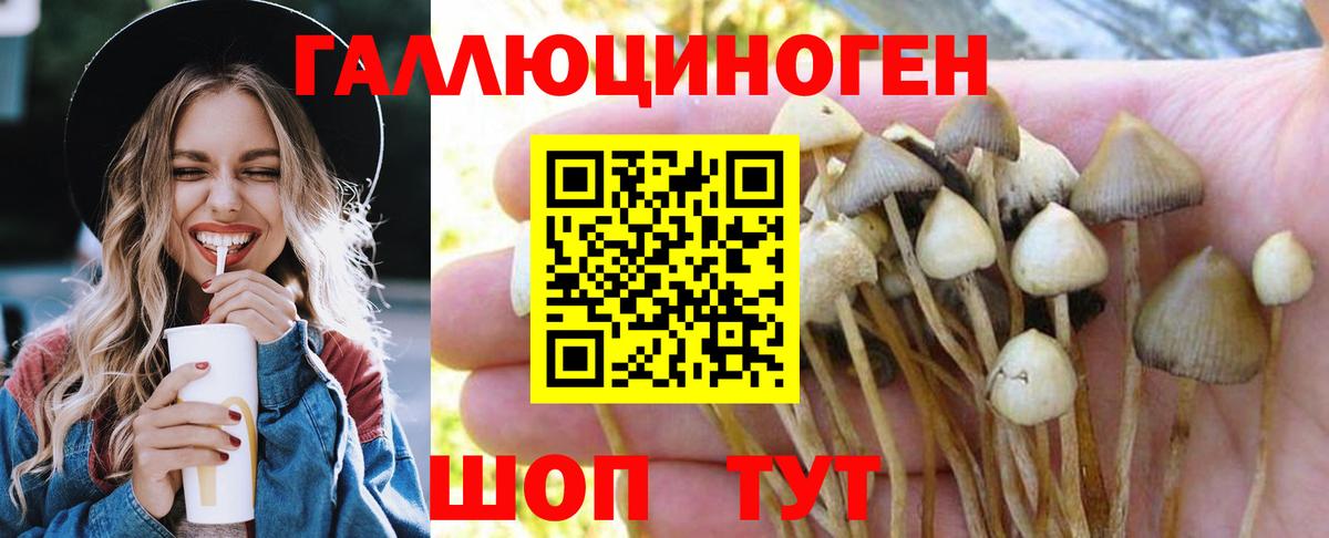 Псилоцибиновые грибы мицелий  Вход с VPN  Камышлов 