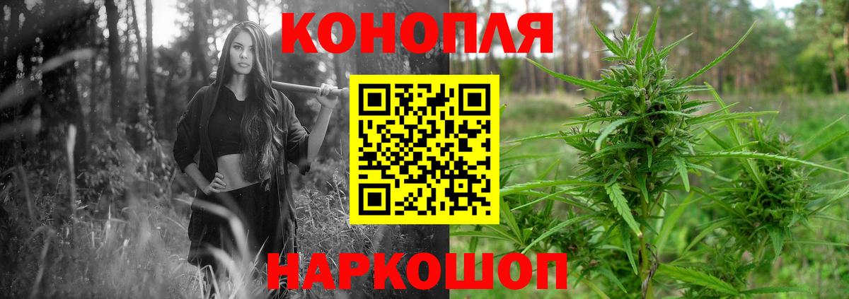 Каннабис планчик Камышлов